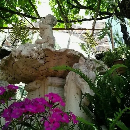 Bed and Breakfast Valle Moya (Gran Canaria)