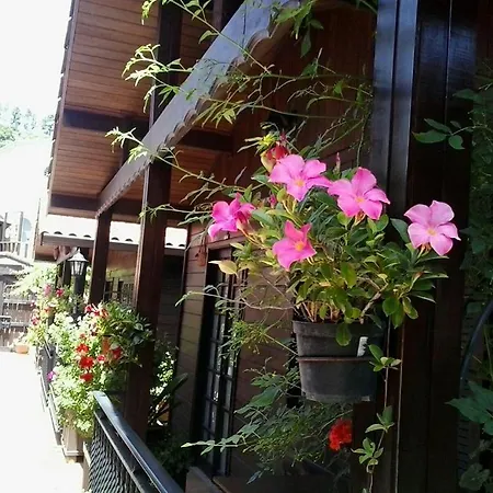 Bed & Breakfast Valle