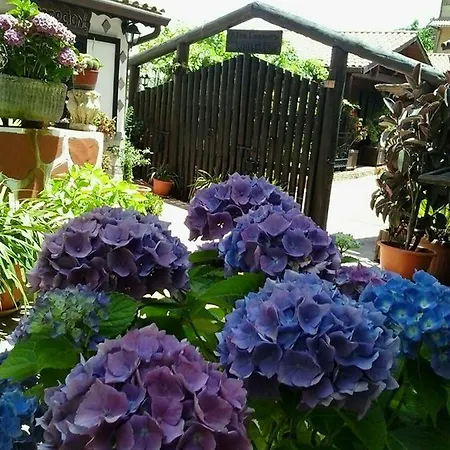 Bed & Breakfast Valle 2*